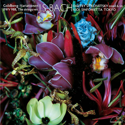 淫词艳曲激情骚麦自慰
